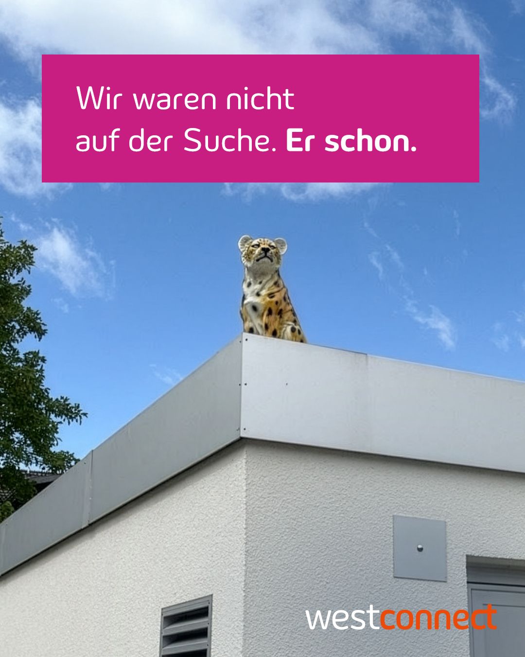 Wir freuen uns, unseren neuen Head of Speed
