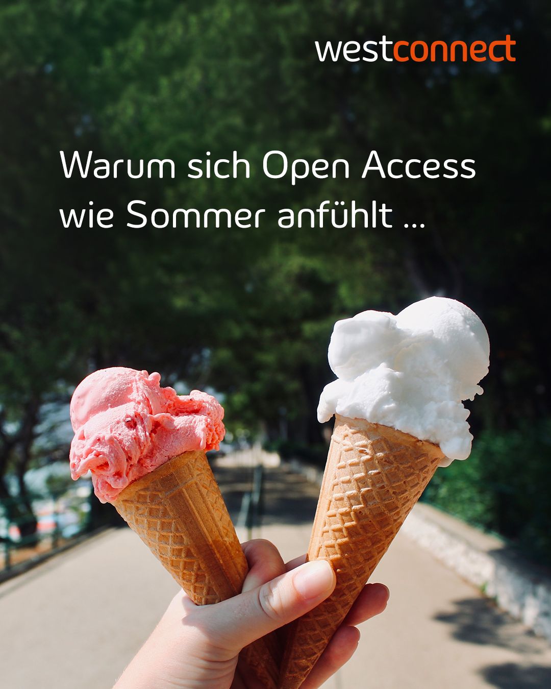 Der Sommer ist die beste Zeit für spontane Entscheidungen. ☀️