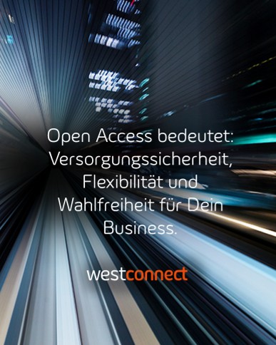 Beim Glasfaser-Internet hört die – Bild 5
